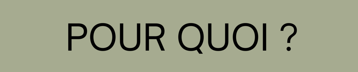 Programmation Neuro Linguistique